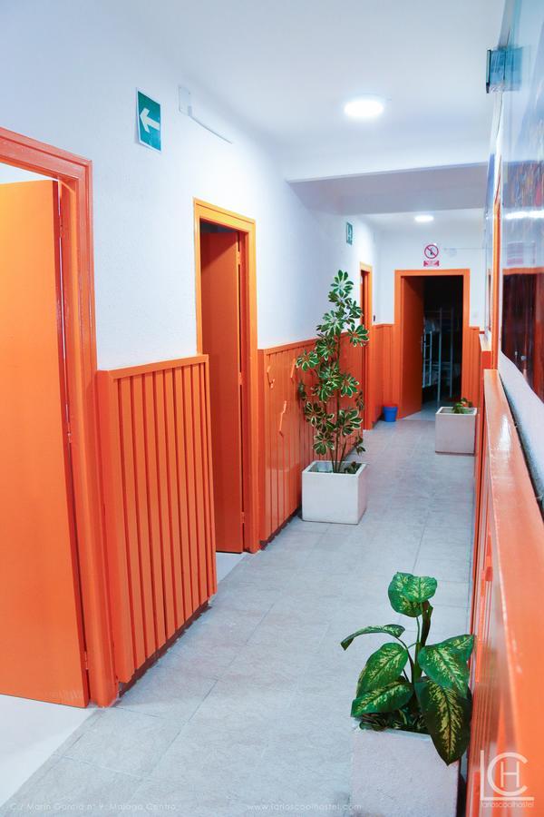 Larios Cool Hostel Málaga Dış mekan fotoğraf